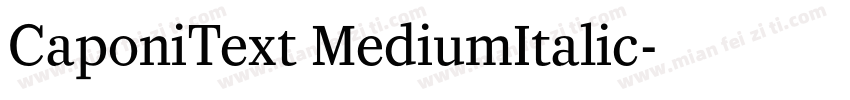 CaponiText MediumItalic字体转换